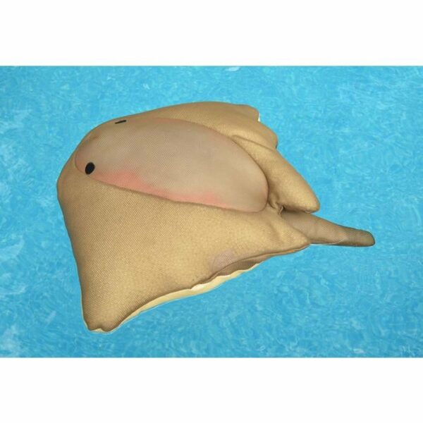 Seaside Rider - Cruz the Stingray, a plush toy with a tan body and simple black eyes, floats on the surface of a blue swimming pool.