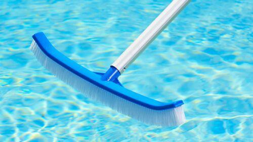 How to Prevent a Green Pool this Summer
