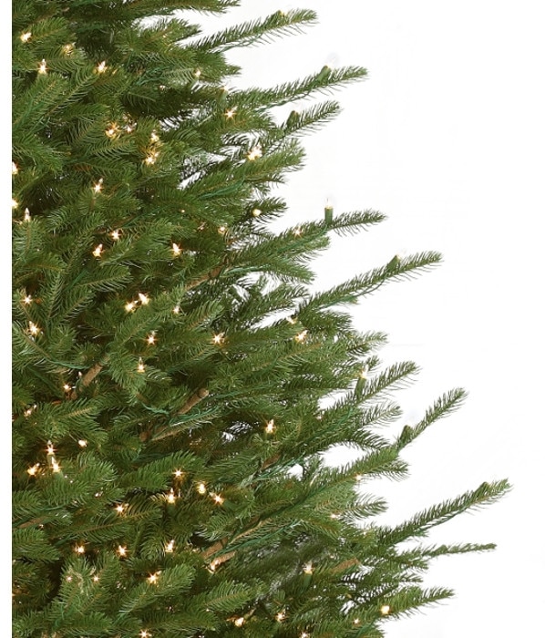 7 5 Nature S Own Fraser Fir With Clear Lights Litehouse Pools And Spas
