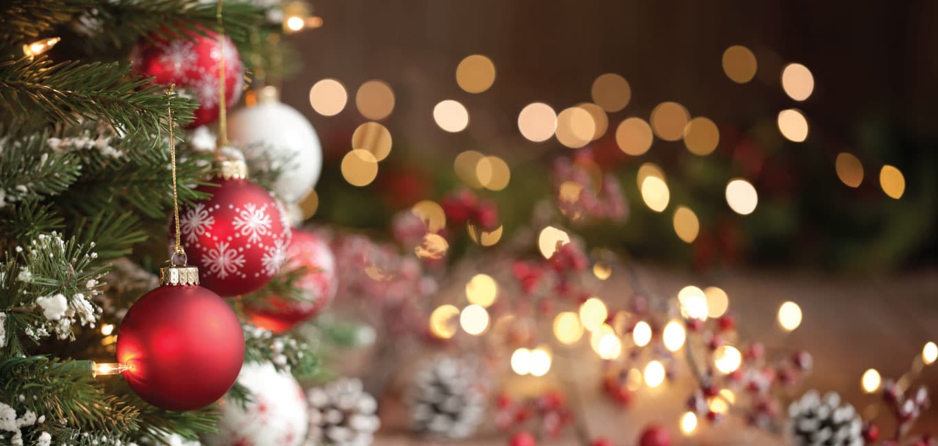 Holiday Trees Northeast Ohio And Erie Pa Litehouse Pools And Spas