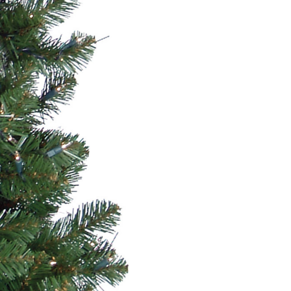 7.5 Pencil Pine Green (M) - Image 2