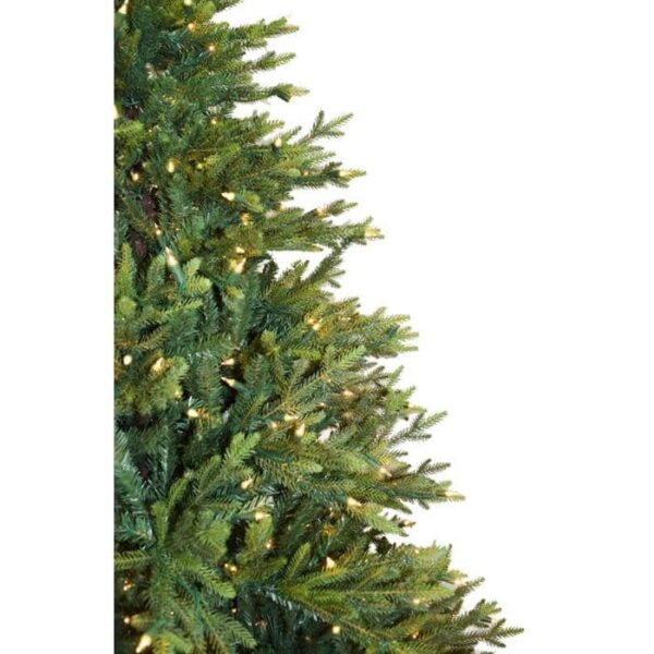 Close-up of the left side of a 7.5 Scots Pine With Clear Lights StayLit, showing green branches and small white lights; the right side features a plain white background.