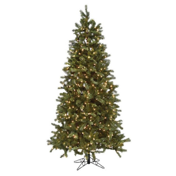 9 Norway Pine (C)