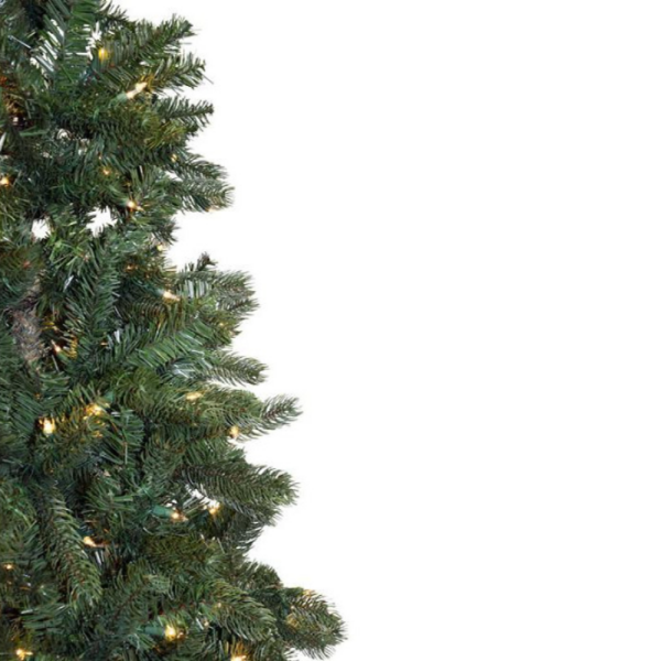9 Norway Pine (C) - Image 2