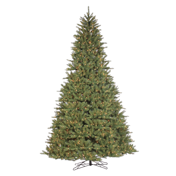 9 Fairhaven Spruce (C)