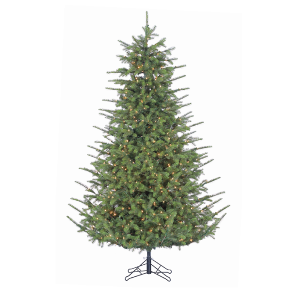 7.5 Pinehurst Fraser Fir (C)
