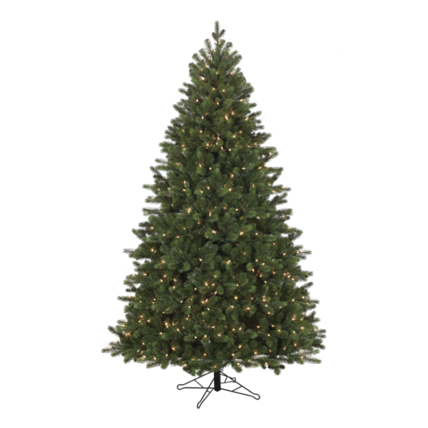 7.5 Leyland Spruce (C)
