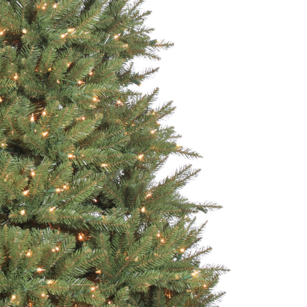 7.5 Fairhaven Spruce (M) - Image 2