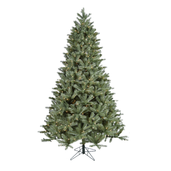9 Haidyn Spruce (C)
