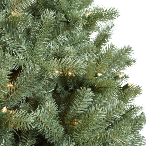 9 Haidyn Spruce (C) - Image 2