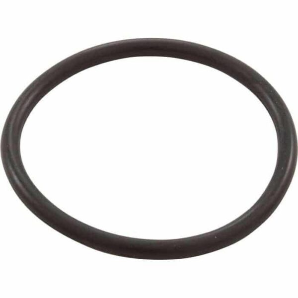 A single O-Ring, Sand Filter, 1-1/2 Heater Tailpiece Bag (805-0224B), made of black rubber, is shown on a white background.