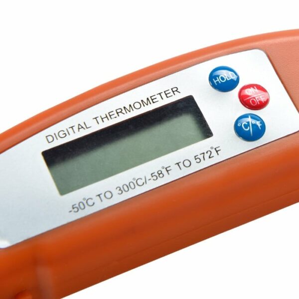 Close-up of a TRAEGER Digital Instant Read Thermometer with HOLD, ON/OFF, and °C/°F buttons. The blank display sits above temperature range markings: -50°C to 300°C and -58°F to 572°F.