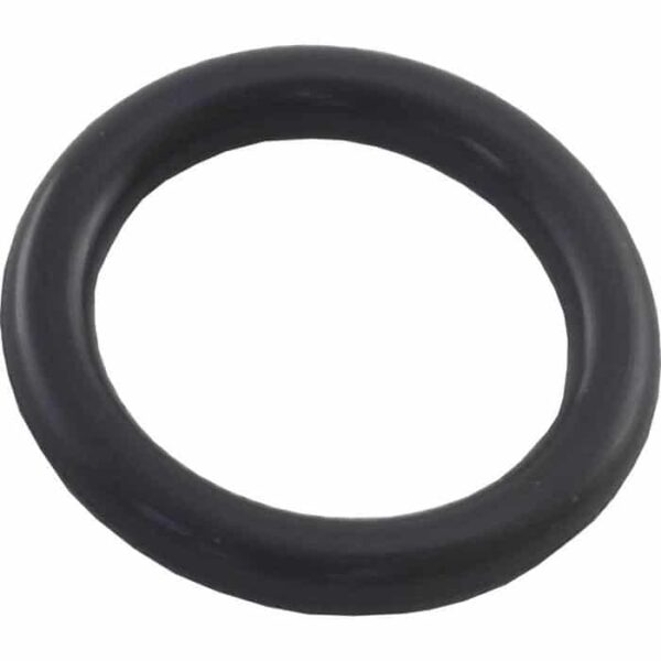 A close-up of the O-Ring, Drain & Air Vent Valve (R172221), a black rubber seal, shown against a white background.