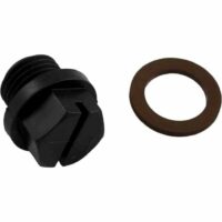 A Pipe Plug with Gasket is shown: a black, slotted, hex-head plug alongside a flat, round brown washer on a white background.