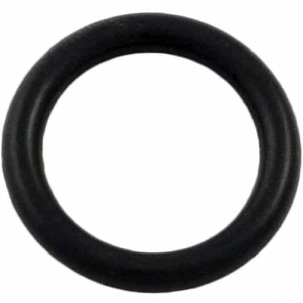 A Hayward SPX0605Z2V Drain Plug O-Ring for C250, C500, and C1800 filters is displayed on a white background.
