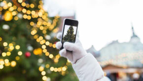 How Many Lights Does the Average Person Have on Their Holiday Tree?