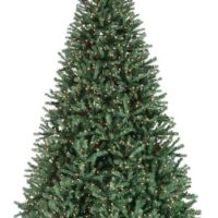 The 6.5 Jackson Pine features dense green branches with cones, red berries, and clear lights, standing on a metal stand against a white background.