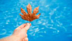 pool fall maintenance tips