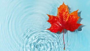 Benefits of Off-Season Pool Upgrades